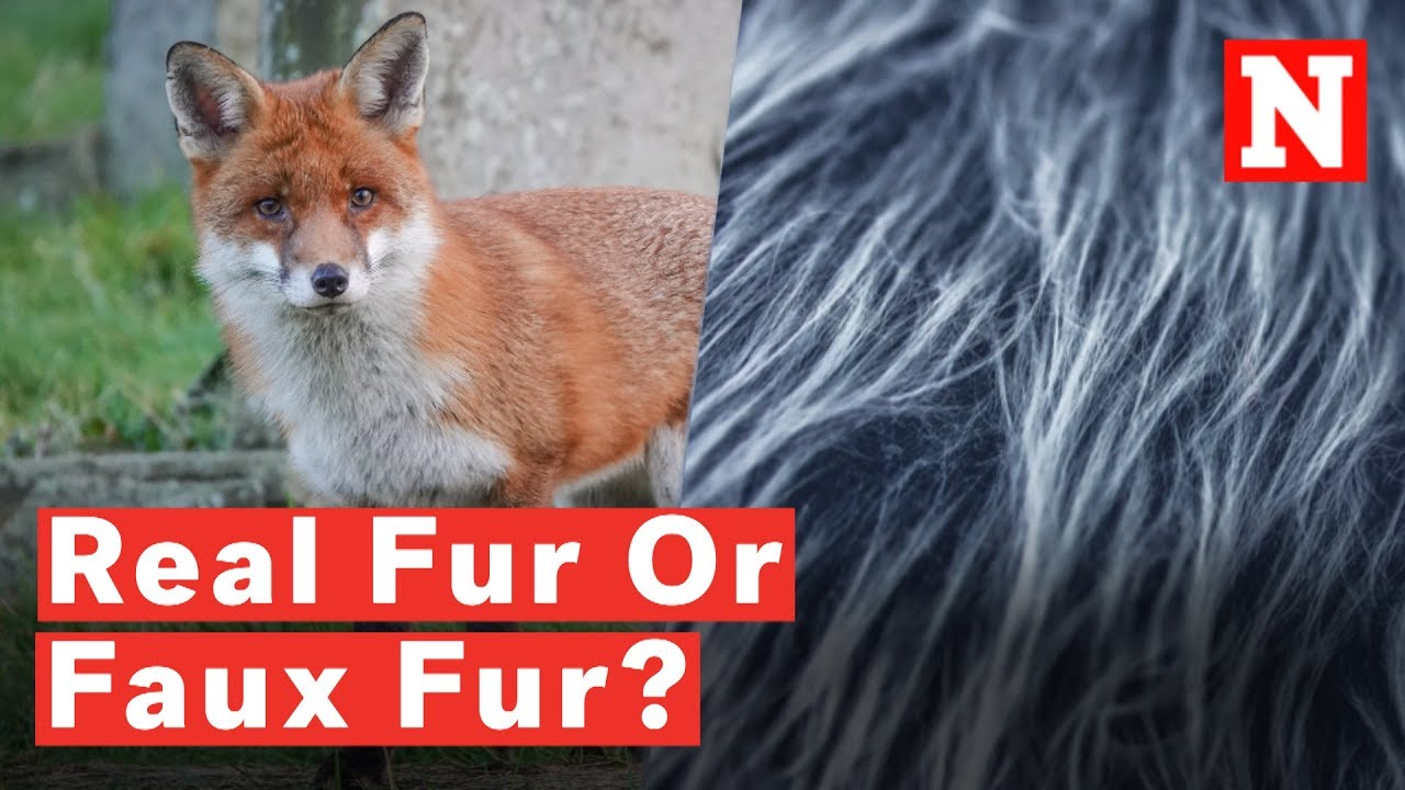 How To Instantly Tell The Difference Between Real & Fake Fur 